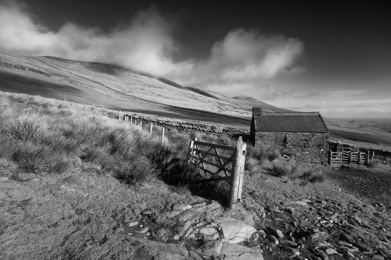 Isolated - Mann in Mono