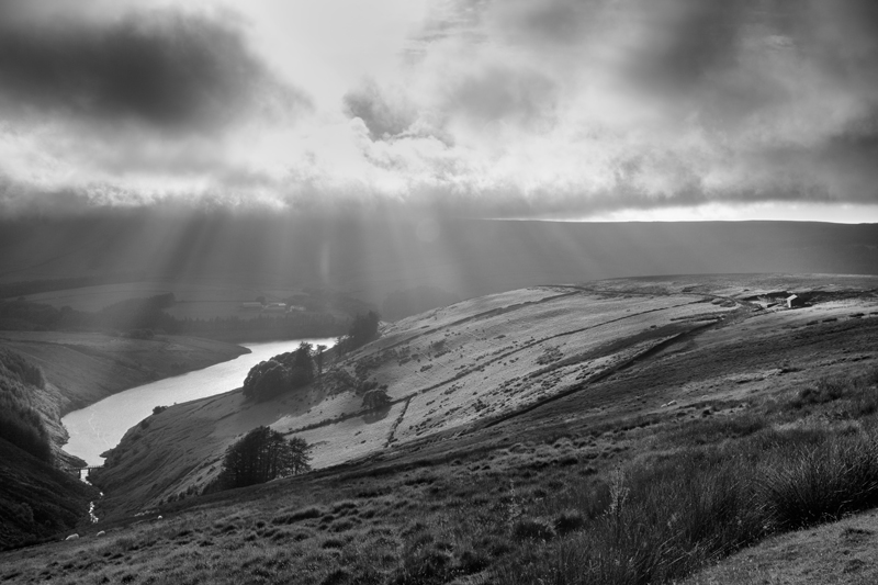 Sulby Rays - Mann in Mono