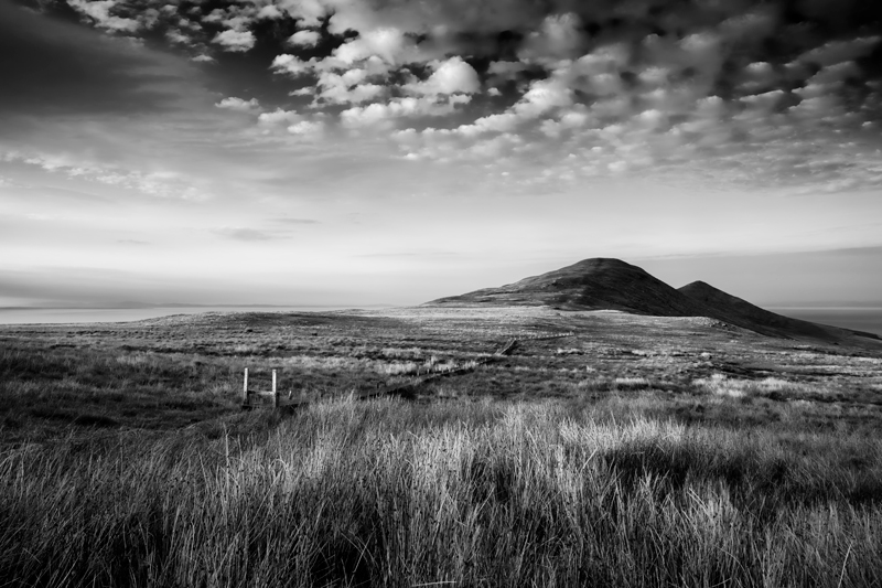 A Path Well Travelled - Mann in Mono