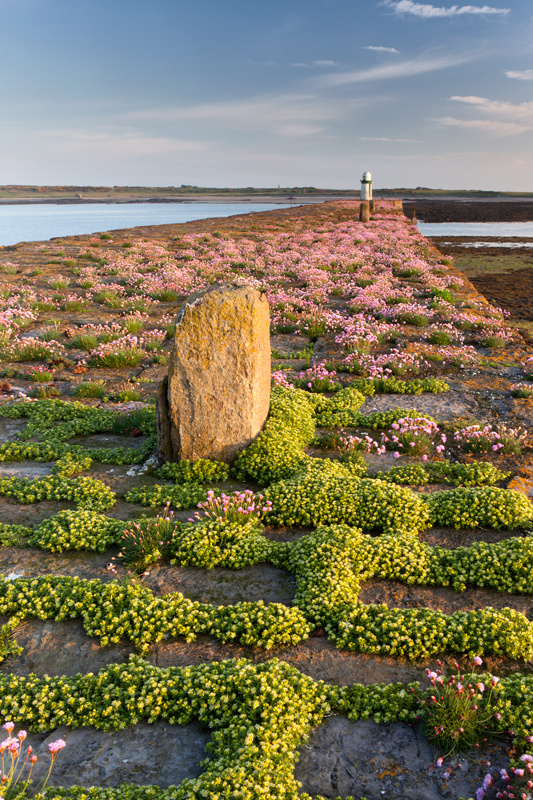Breakwater Bloom - National Landmarks