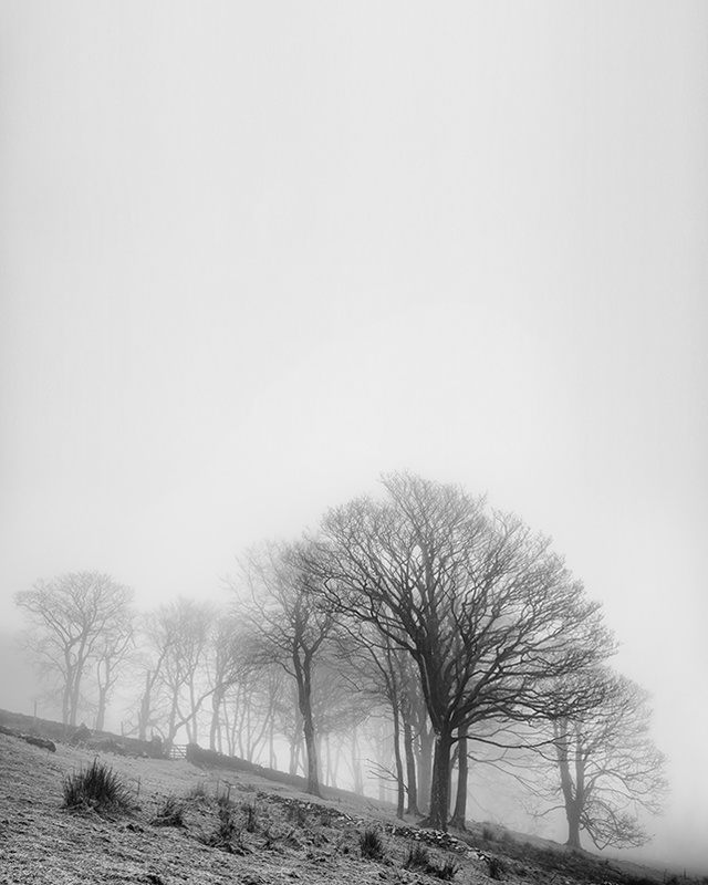 Against the Mist - Mann in Mono