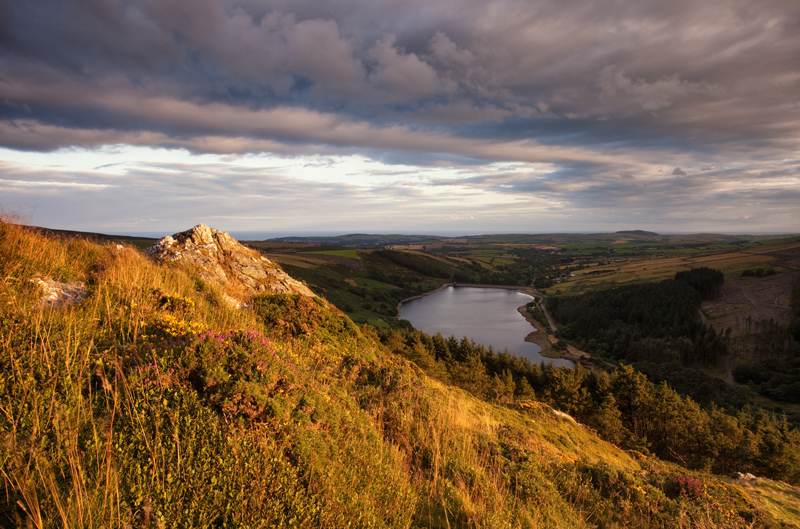 Gold Top - Isle of Man Landscapes