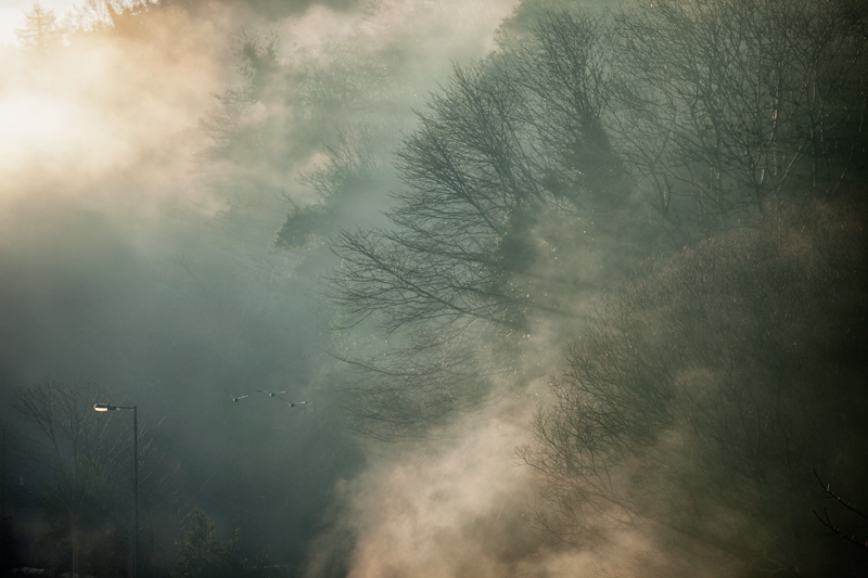 Ducks at 8 o'clock - Isle of Man Landscapes