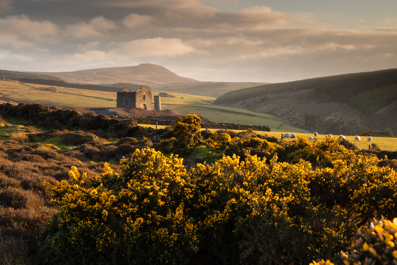 In the evening glow - National Landmarks