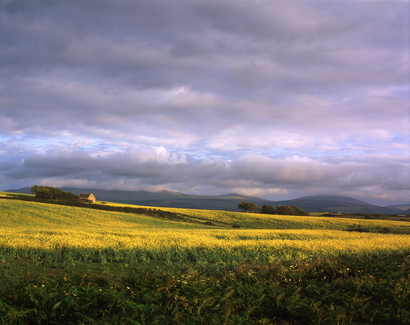 Field of Dreams - Isle of Man Landscapes