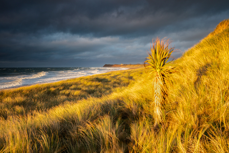 Totally Tropical - Isle of Man Seascapes/Coastal
