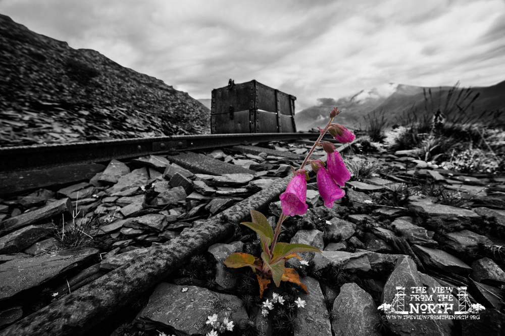 Industrial Landscape and Urban Exploration Portfolio