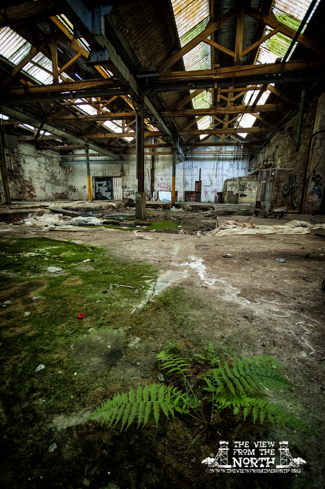Urban Exploration (Urbex) of Brook Dyeing, Royd Edge Mills, Meltham