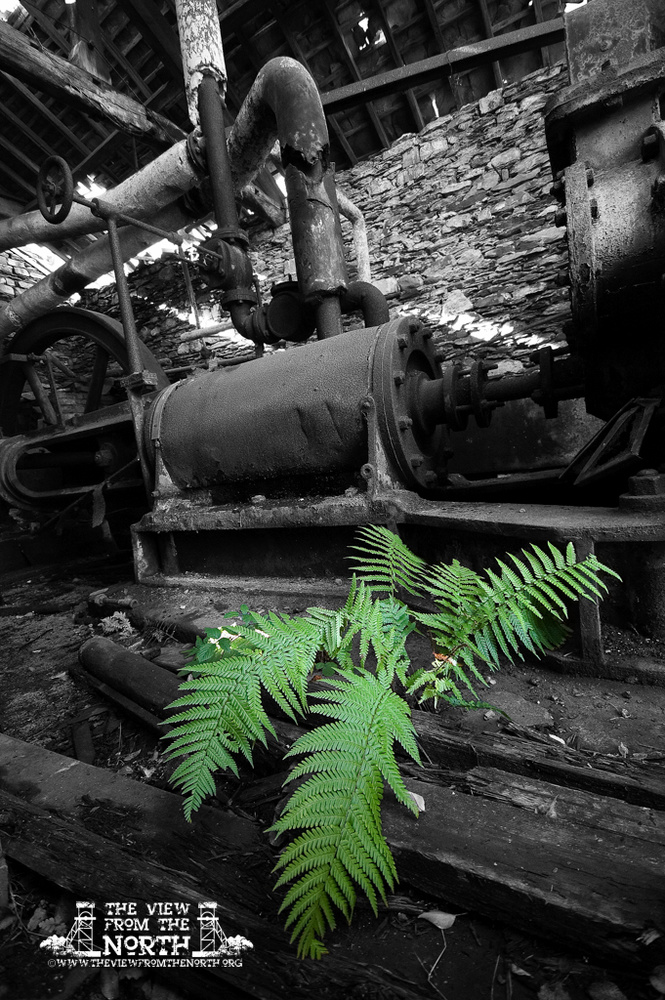 Industrial Landscape and Urban Exploration Portfolio