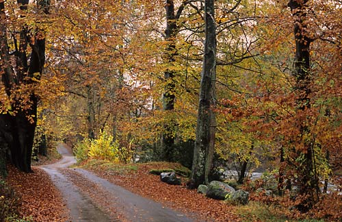 Brathay - Lake District
