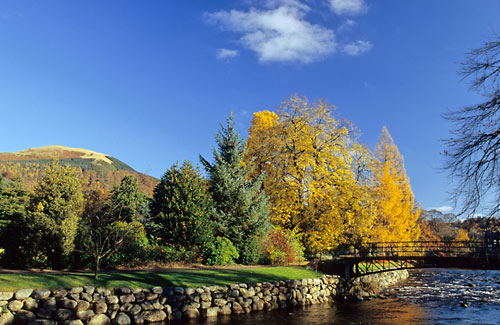 Fitz Park - Lake District