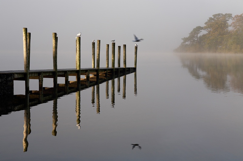 Lakeland Mist 2 - Lake District