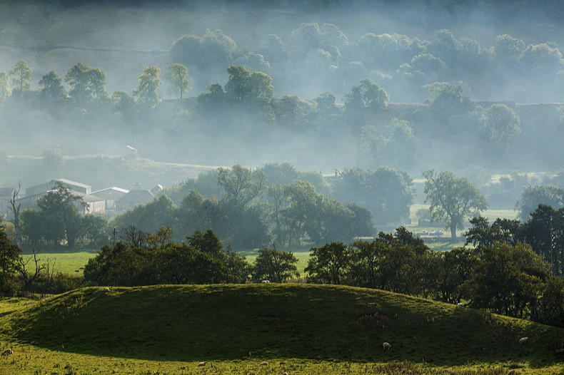 Mist in the Dales - Landscapes