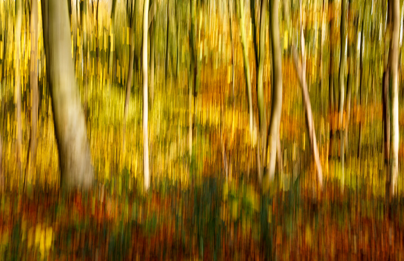 In Camera Movement 3 - Abstracts