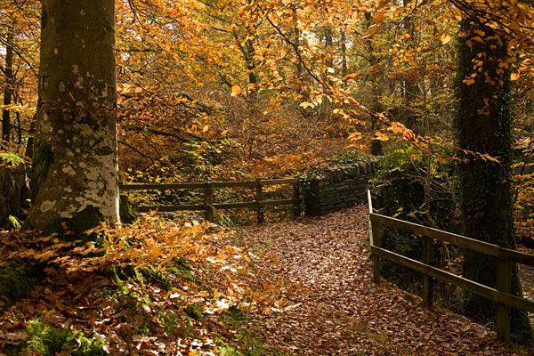 Clappersgate - Lake District