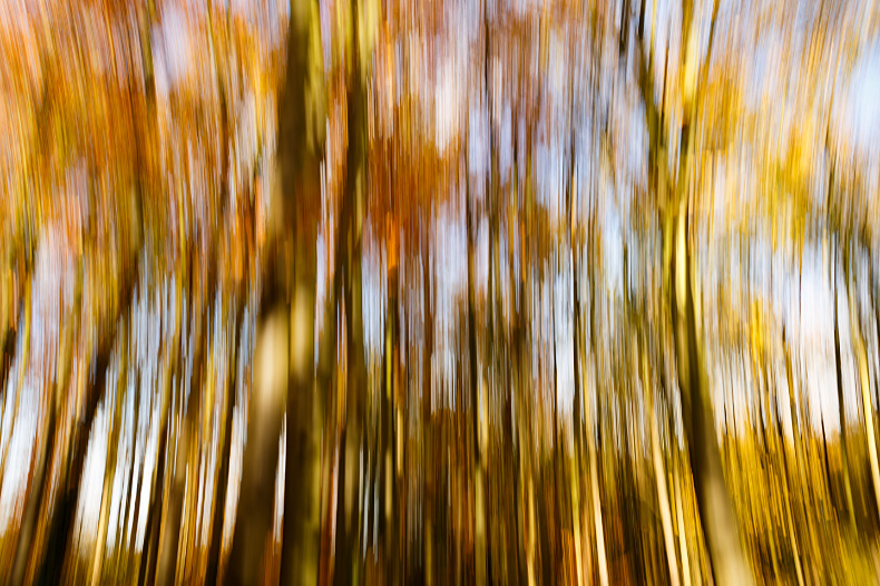In Camera Movement 1 - Abstracts