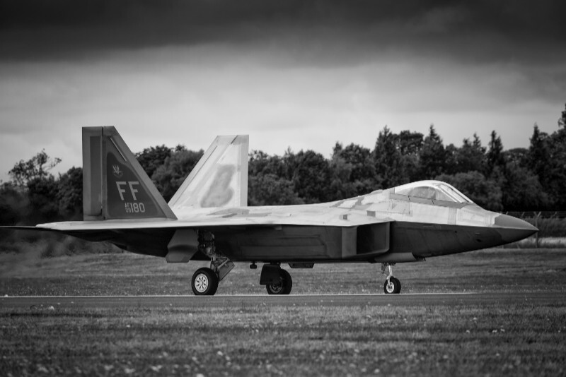 Raptor - Aircraft in Black and White