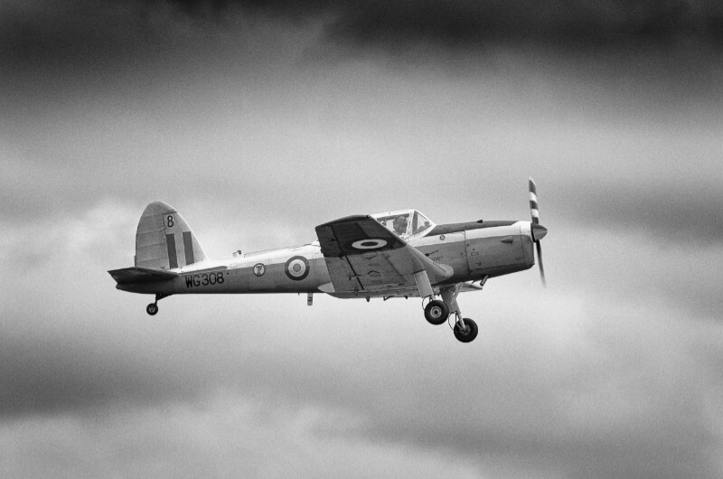 Chipmunk - Aircraft in Black and White