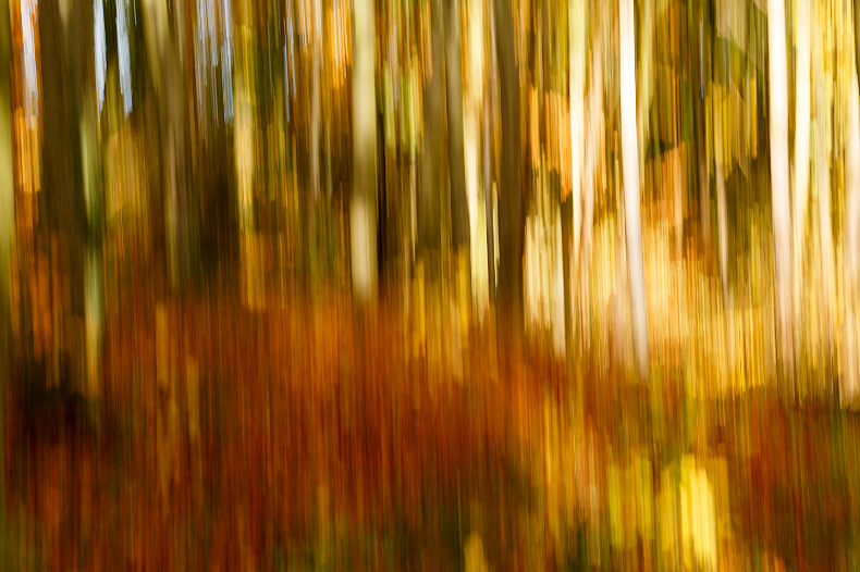 In Camera Movement 2 - Abstracts