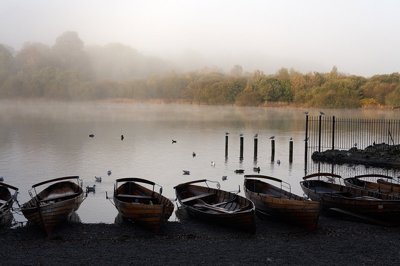 Lakeland Mist 1 - Lake District