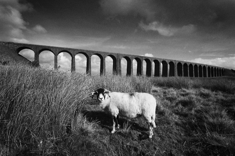 Ribblehead Viaduct 4 - Monochrome