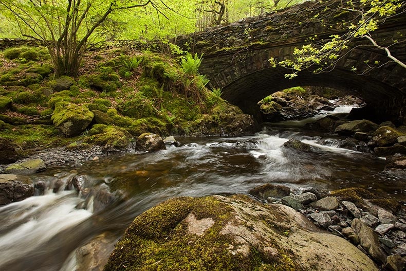 Beck near Thirlmere 2 - Lake District