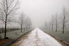 Yeomanry Avenue - National Memorial Arboretum, Staffordshire, England