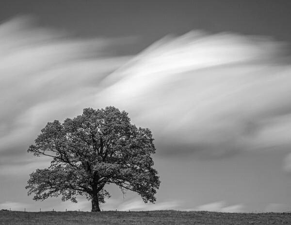  - Northamptonshire