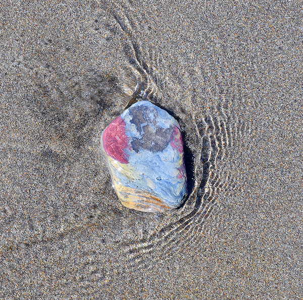 Lonely Pebble - The Natural World