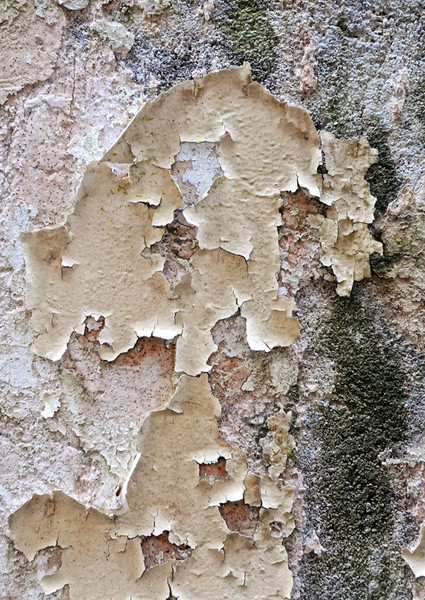 Flaking - Creative