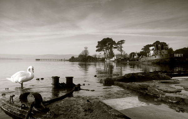 Tidal Retreat - Landscapes