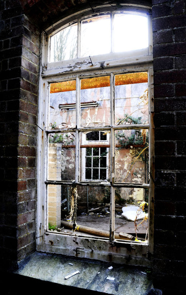 New Light...... - Urban Decay