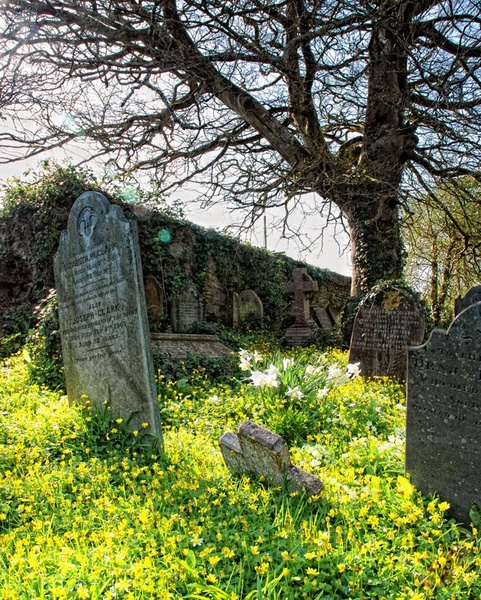 Antony Churchyard - Landscapes