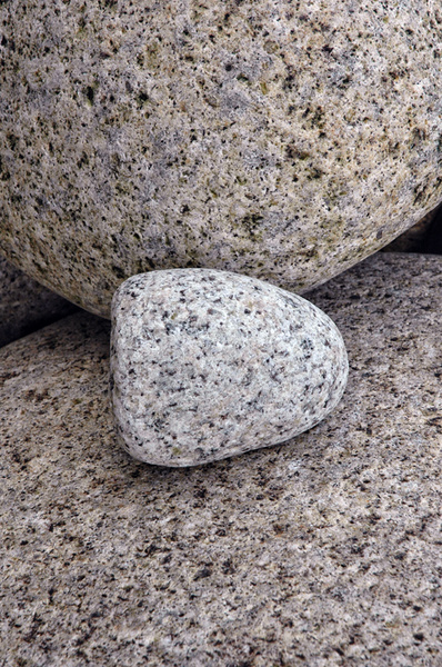 Classic Rock - The Natural World