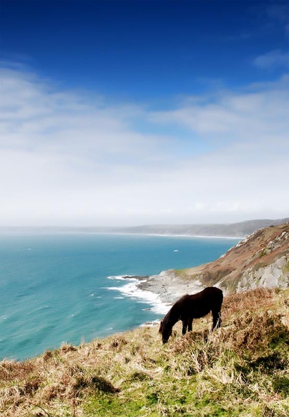 Rame Pony - The Natural World