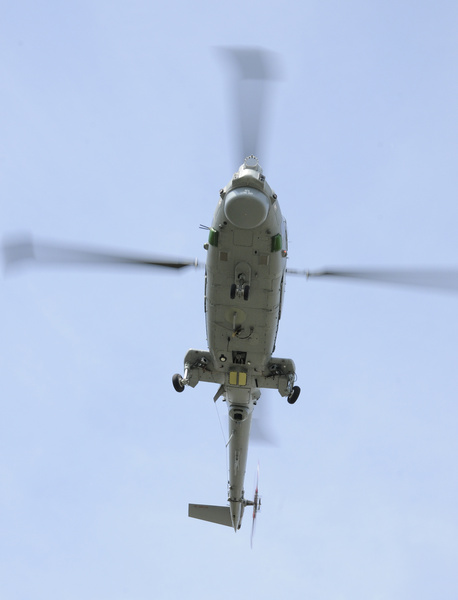 Lynx - 'trains and boats and planes'