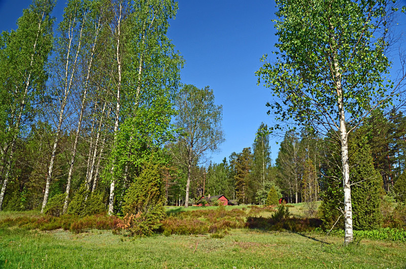 Nuuksio National Park, Uusimaa, Finland - North east Finland