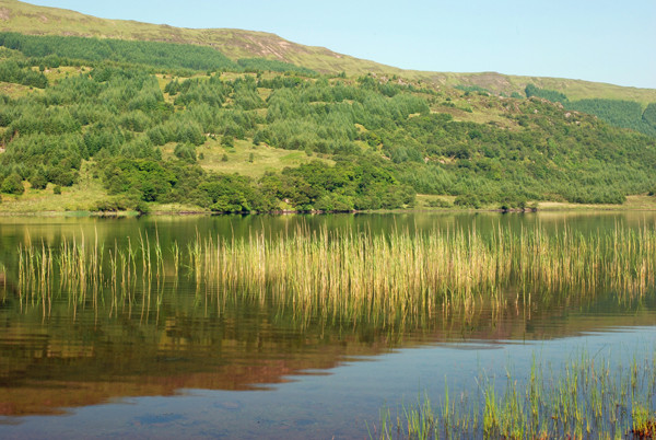 Loch Doire nam Mart, Morvern - Lakes and lochs