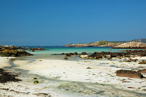 Fidden, Mull, Argyll - Sea and sand