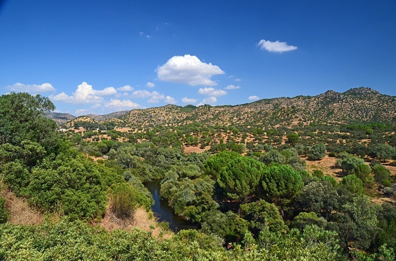 Sierra de Andújar, Andalucia, Spain - South Spain - September 2013