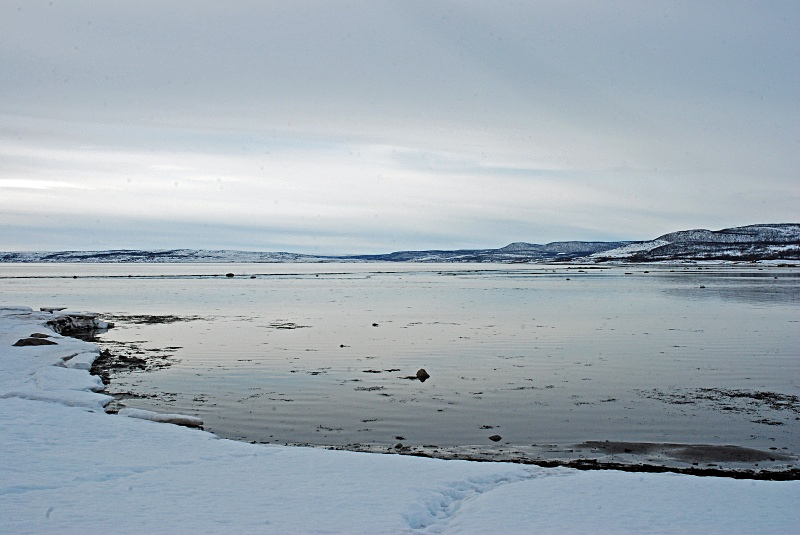 Varangerfjord, Finnmark, Norway - Norway