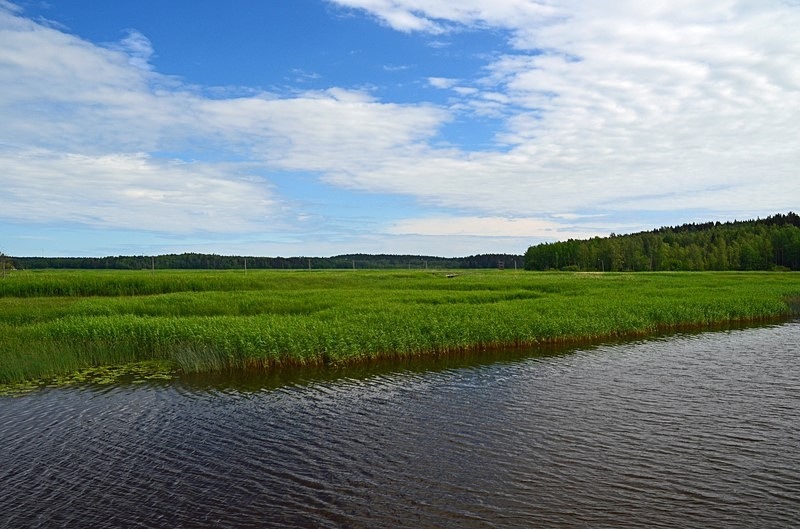 View from the m/s J.L. Runeberg between Porvoo and Helsinki, Finland - Helsinki and Porvoo, Finland