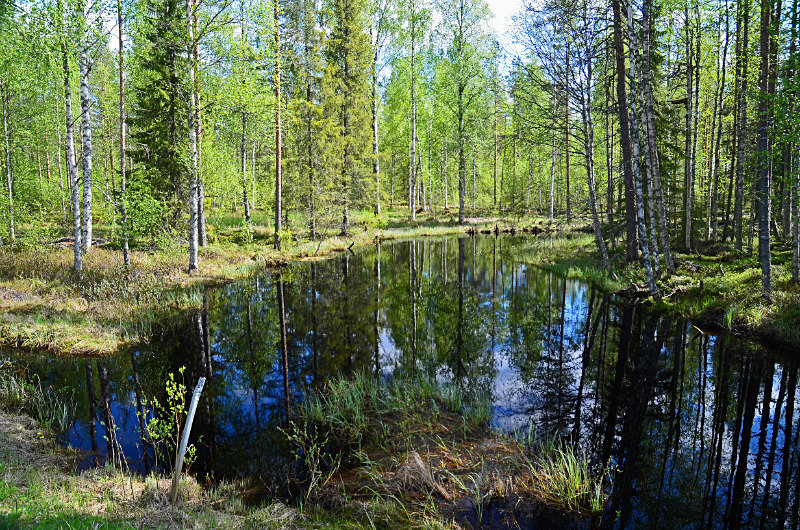 Kajaani to Kuhmo, Kainuu, Finland