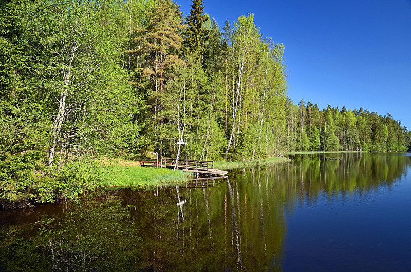 Taevaskoja, Estonia