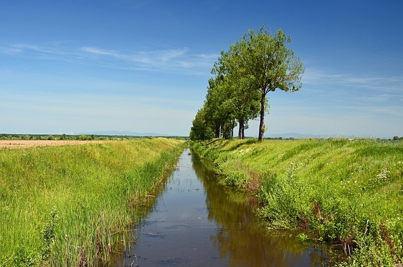 Latorica, Košice region, Slovakia - Slovakia