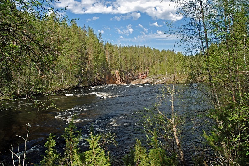 Oulanka National Park, Finland - North Finland and north Norway - May and June 2009