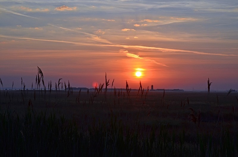 Hortobágy National Park, Hajdú-Bihar county, Hungary - Hungary