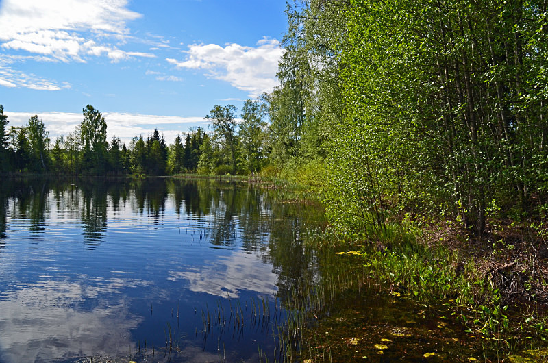 Endla Nature Reserve, Estonia - Estonia