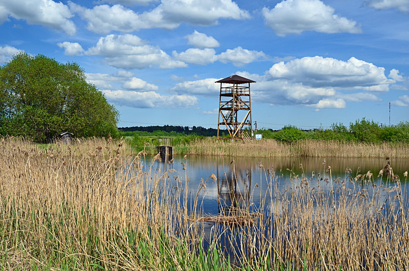 Ilmatsalu, Estonia