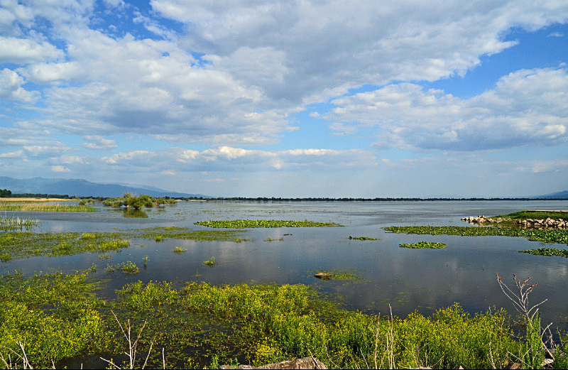 Lake Kerkini, Central Macedonia, Greece - Central Macedonia